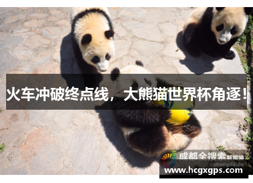 火车冲破终点线，大熊猫世界杯角逐！